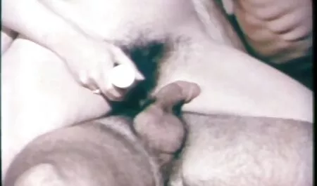 Splendida giovane film hard free hd scopata in diverse posizioni sessuali
