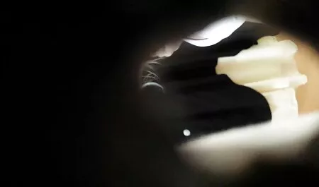 annusare pozzi e porno italiani in hd prendere in giro sul tetto