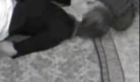 Vecchio uomo d'affari scopa la video erotici hd sua giovane ragazza calda troppo eccitata